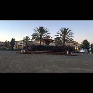 Meet your Posher, Isabel