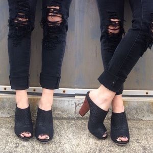 Seychelles Propaganda Mules