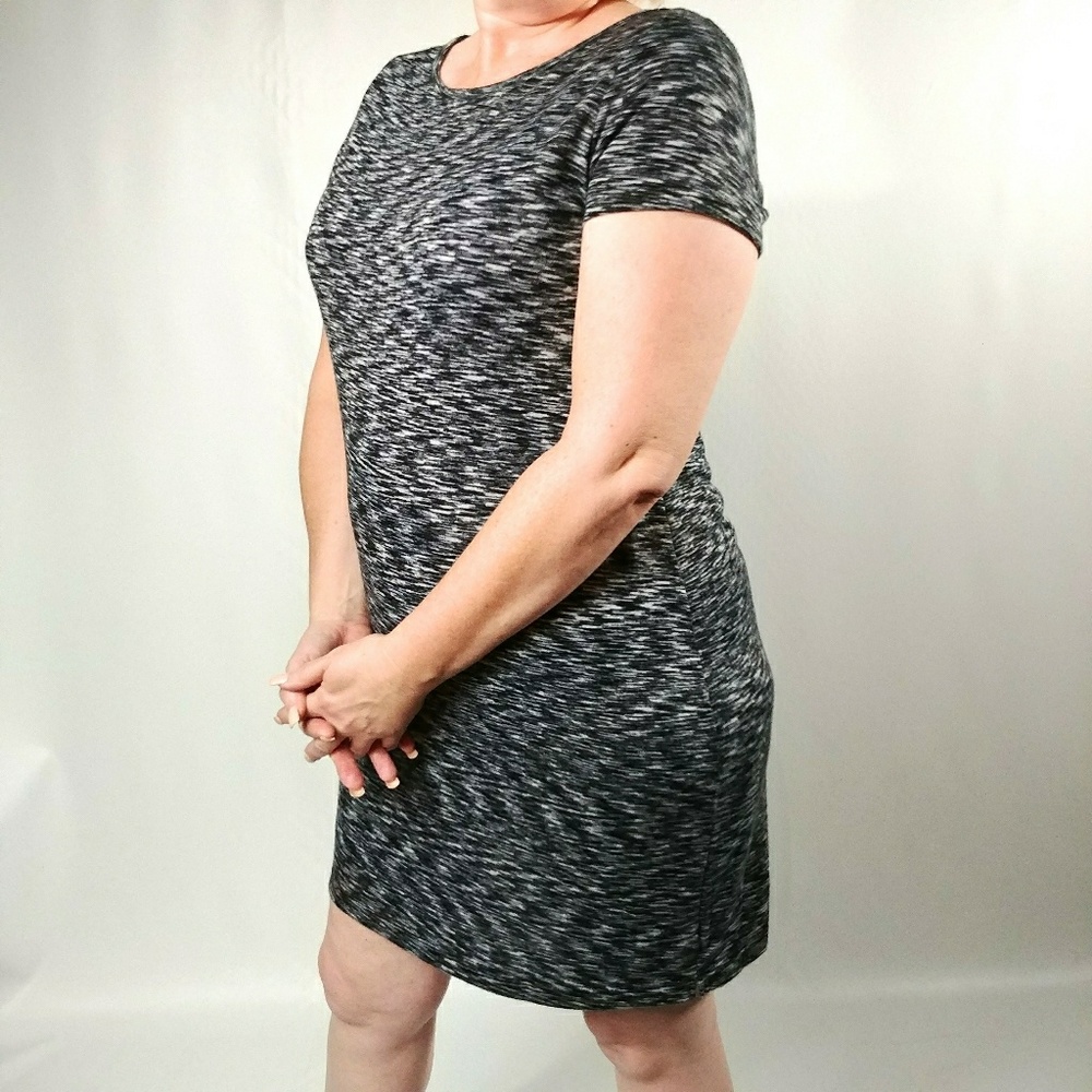 NWOT the Limited black and white dress