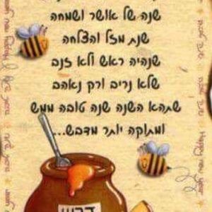 Meet your Posher, Tamar