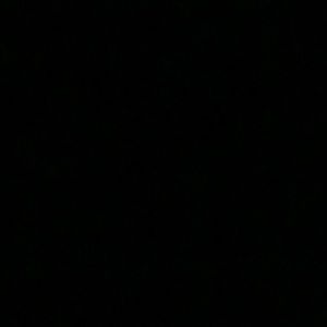 Meet your Posher, Logan