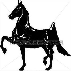 Meet your Posher, Darian