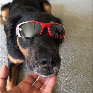 Meet your Posher, Susan