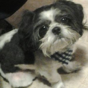 Meet your Posher, Rita