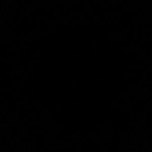 Meet your Posher, Sammy