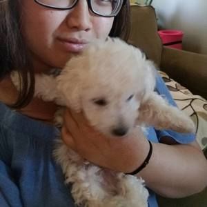 Meet your Posher, Maiv paj zeb