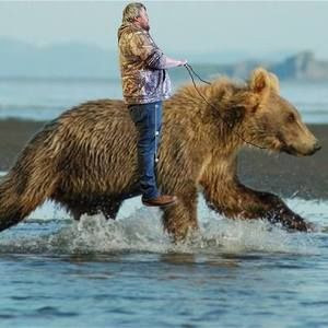 Meet your Posher, Josh