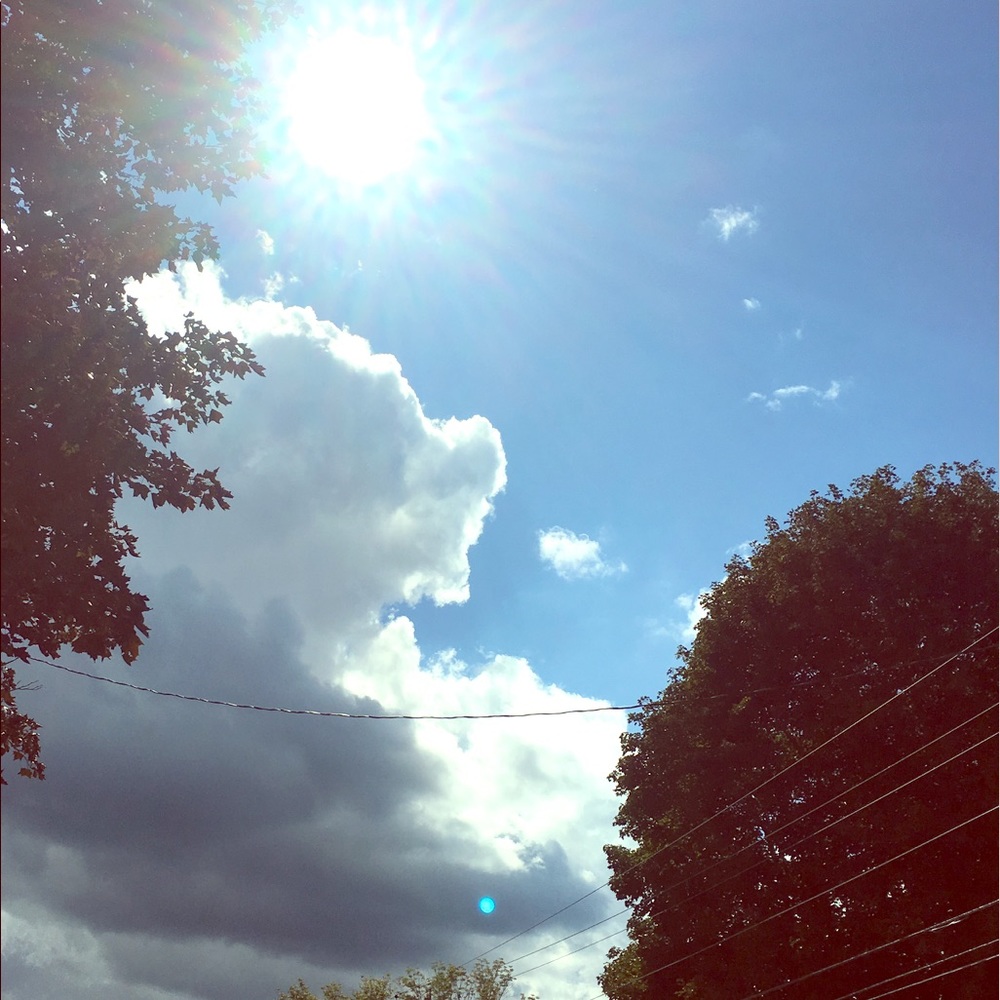 Meet your Posher, Pamela