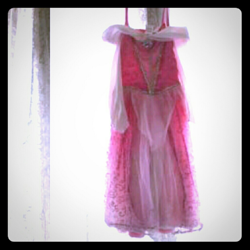 Sleeping Beauty Princess dress