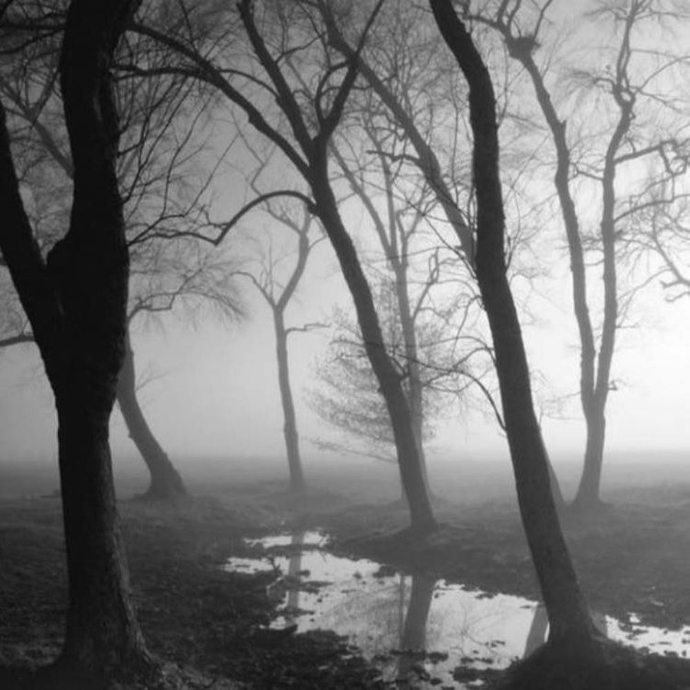 Meet your Posher, Nikky