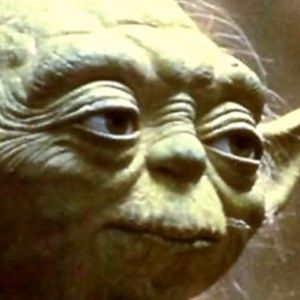 Meet your Posher, Logan