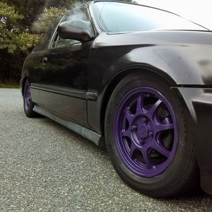 Meet your Posher, Kelsie