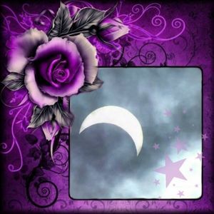 Meet your Posher, Aimee