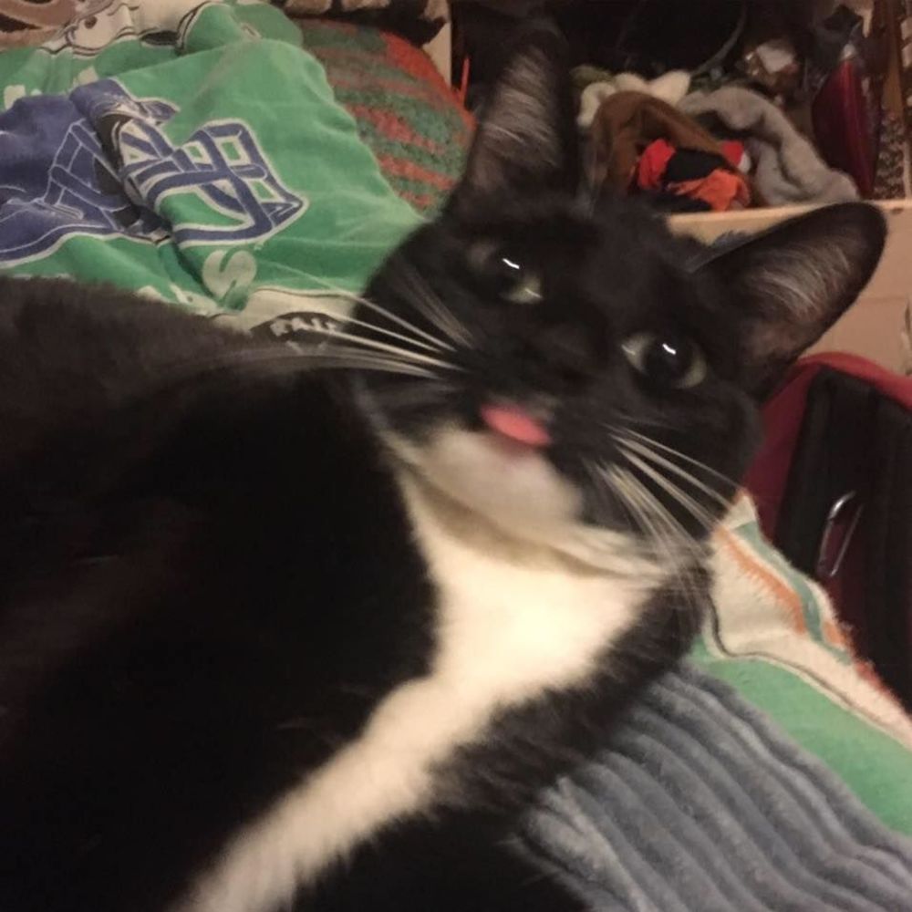 Meet your Posher, Nicholas