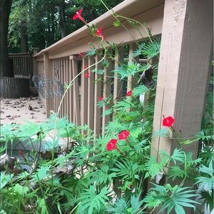 Meet your Posher, Nancy