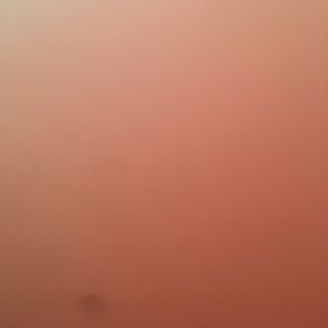 Meet your Posher, Isaiah