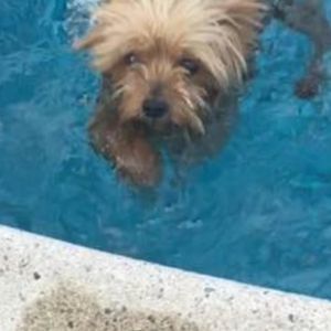 Meet your Posher, Allison