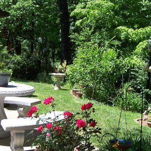 Meet your Posher, Joyce