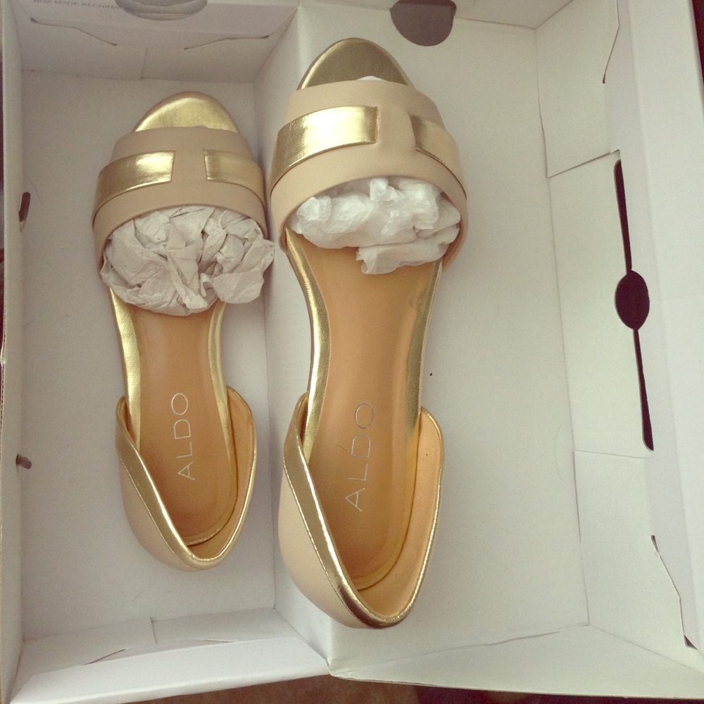 ALDO Donada nude with gold tip flats.