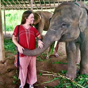 Meet your Posher, Ansley