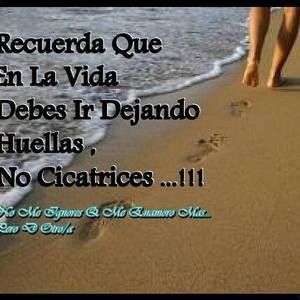 Meet your Posher, Chanel