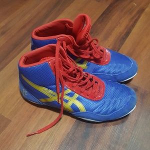 Wrestling Shoes