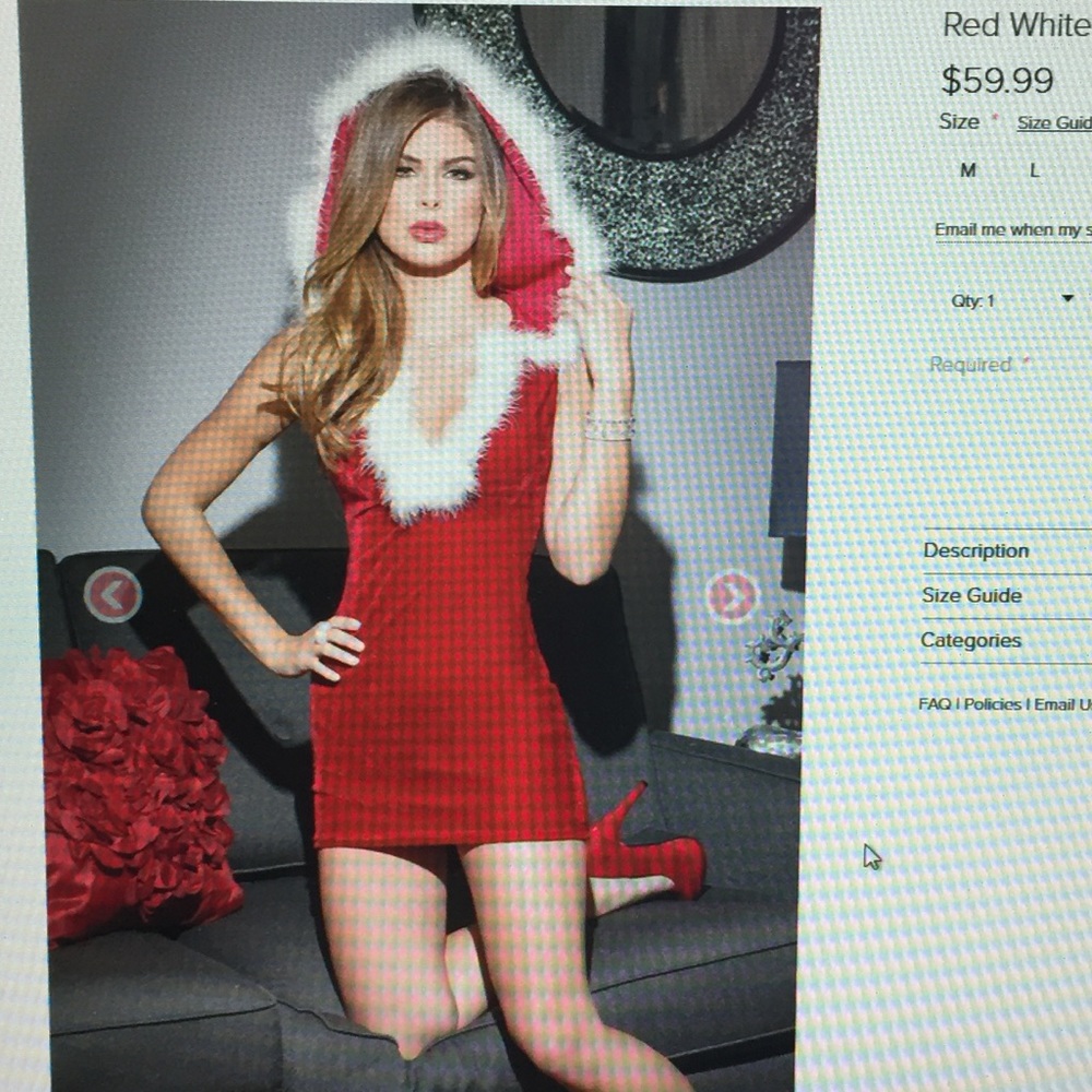 Sexy Ms Santa costume