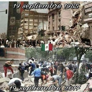 Meet your Posher, Susanna