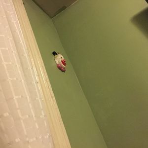 Meet your Posher, Roderick