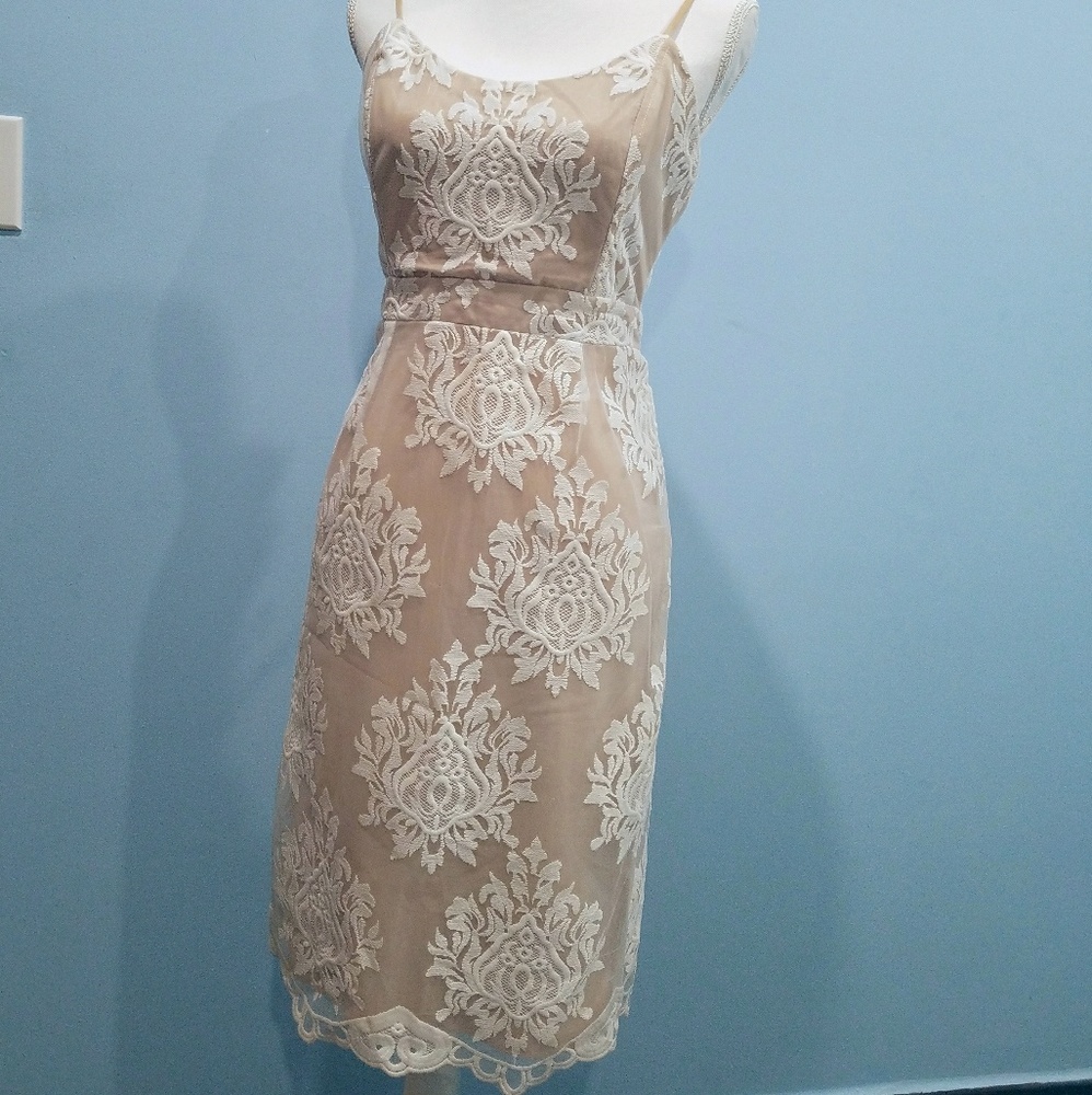 Forever 21 overlay embroidered lace dress