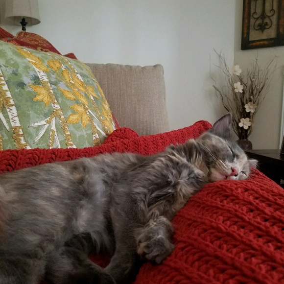 Meet your Posher, Denise - Picture 1 of 1