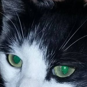 Meet your Posher, Doris