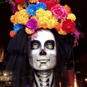 Meet your Posher, Ana