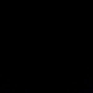 Meet your Posher, Devin