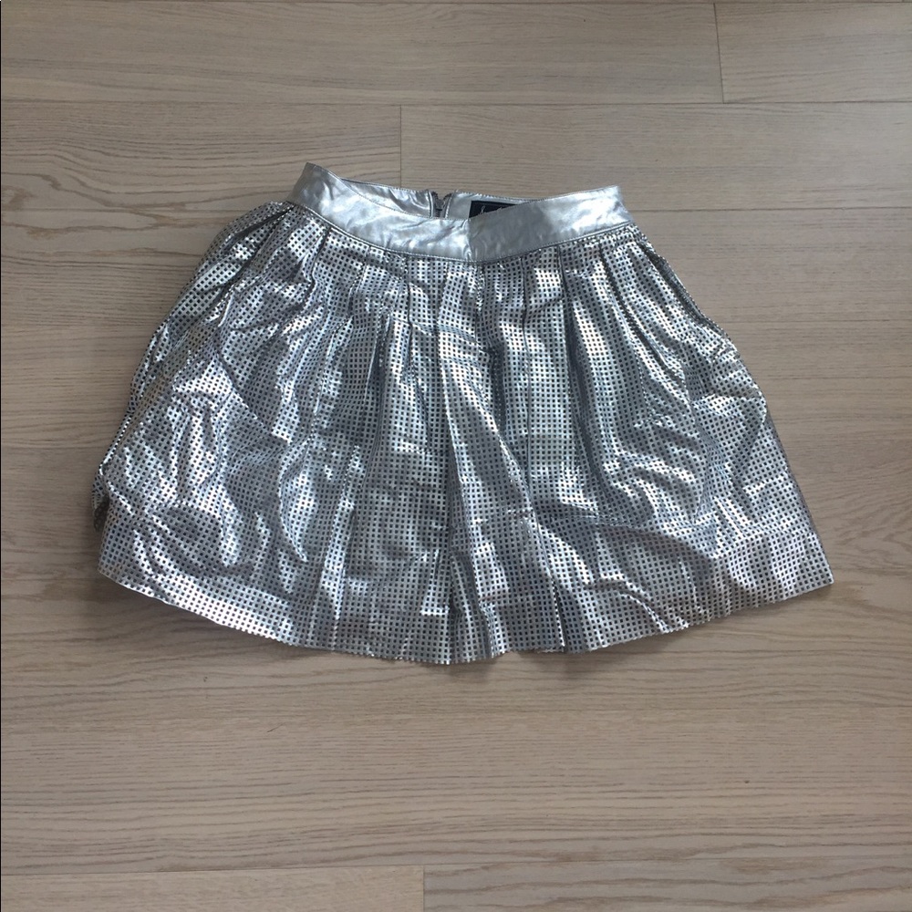Silver Skirt
