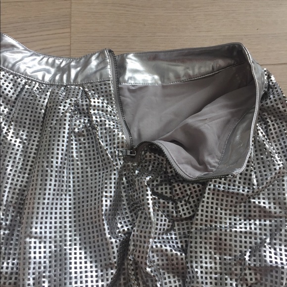 Silver Skirt - Picture 2 of 4