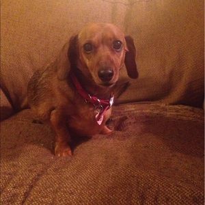 Meet your Posher, Heather