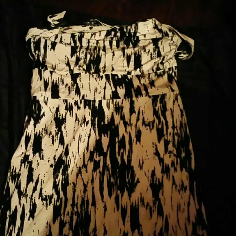 Ann taylor skirt
