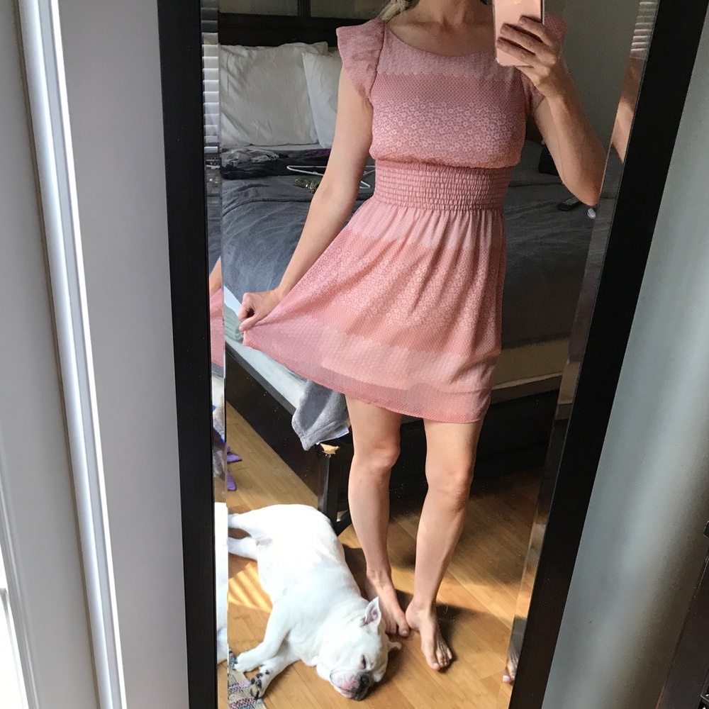 Adorable Francesca's dress! Bulldog not included