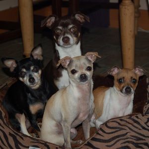 Meet your Posher, Todd