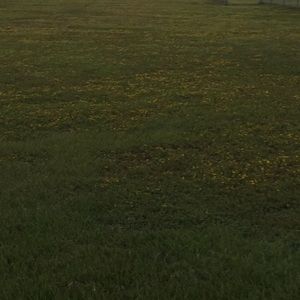 Meet your Posher, Lamar