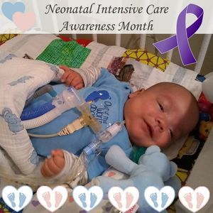 Meet your Posher, Lindsay