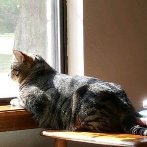 Meet your Posher, Gay lynne