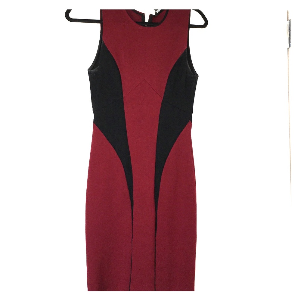 Color block bodycon dress NWT - Picture 4 of 5