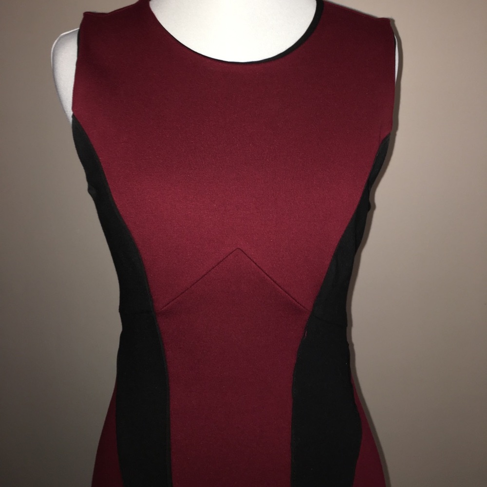 Color block bodycon dress NWT - Picture 2 of 5