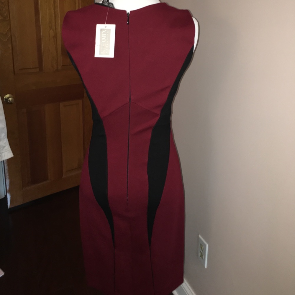 Color block bodycon dress NWT - Picture 3 of 5