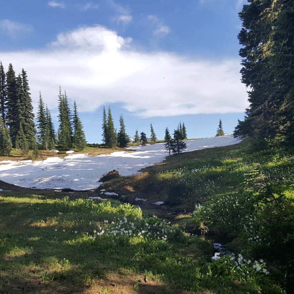 Meet your Posher, Eunyoung