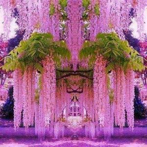 Meet your Posher, Sherry