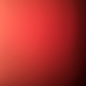 Meet your Posher, Ernest