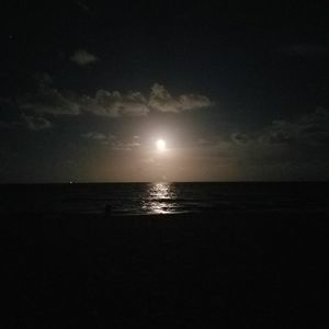 Meet your Posher, Rosa